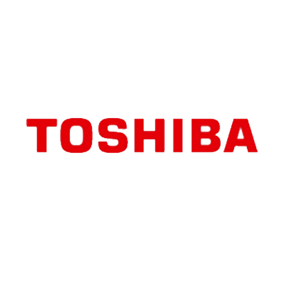 Plastic Manufacturing Customer Toshiba
