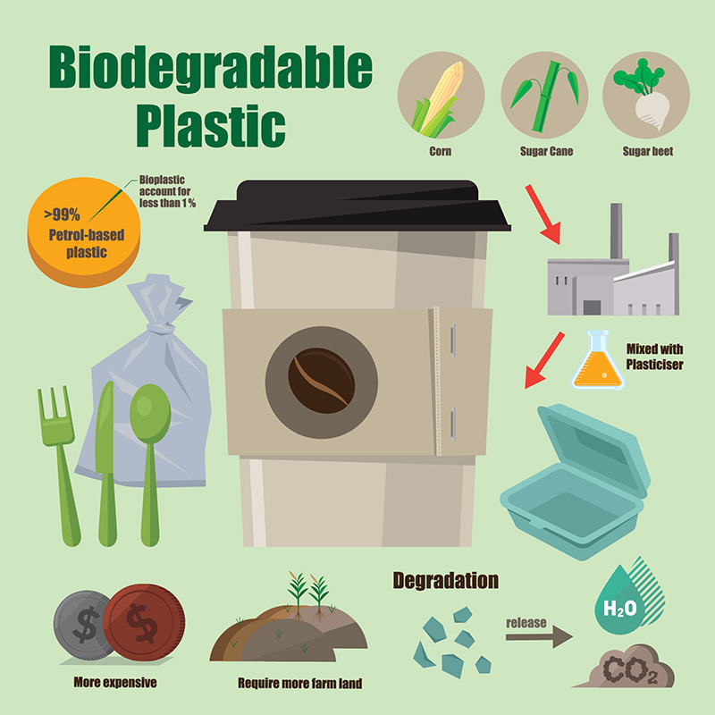 Types of Sustainable Plastic Materials - Biodegradable Plastic.